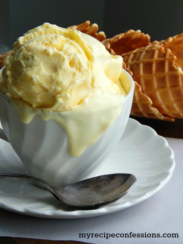 Homemade French Vanilla Ice Cream-This recipe is as fast and easy as they come. With an ice cream maker, you can eat your ice cream within 20 minutes. I love how smooth and creamy this ice cream is. It has the perfect rich French vanilla flavor. Another great thing about this recipe is that it doesn't have any eggs. This ice cream will rock your world! 