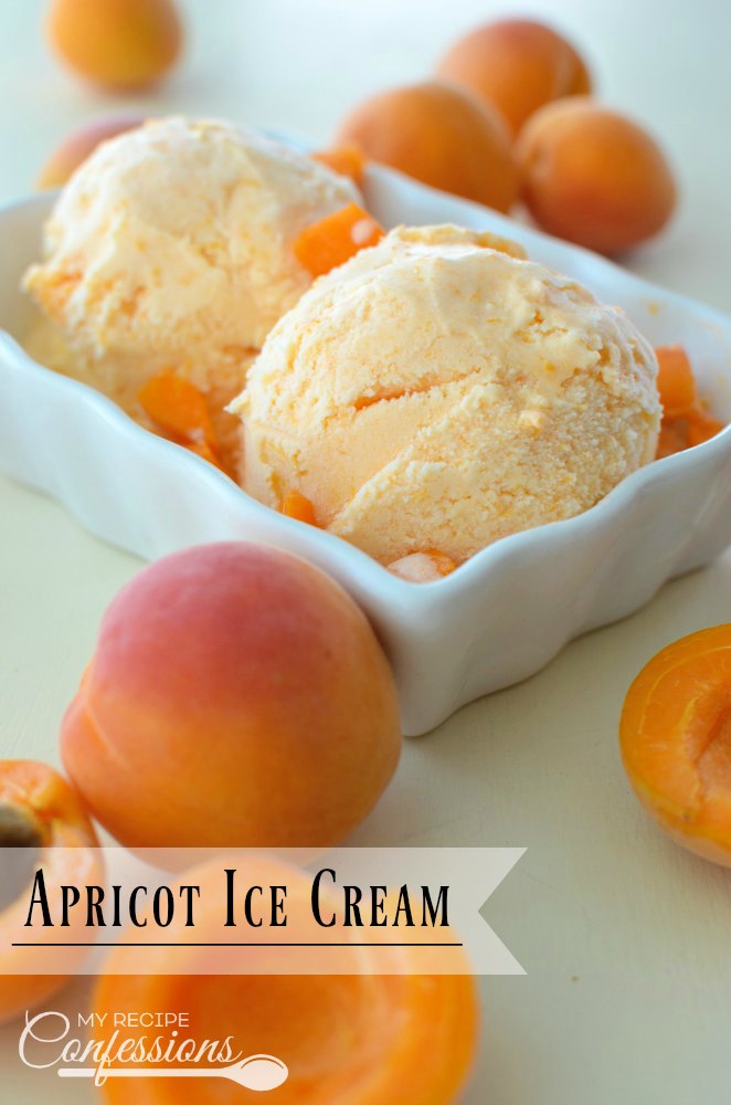Apricot Ice Cream- This homemade Apricot Ice Cream is easy and irresistible! It is smooth and creamy and makes the perfect dessert! This easy to follow recipe is the best there is!