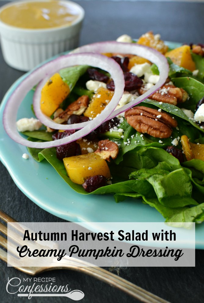 Autumn Harvest Salad with Creamy Pumpkin Dressing is full of all the autumn flavors we love and crave! This salad is packed with butternut squash, dried cranberries, pecans and so much more. The creamy pumpkin dressing recipe is pure magic and really makes this salad pop!