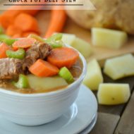 Best Ever Crock Pot Beef Stew-This beef stew recipe is easy to follow and is the best slow cooker stew I have ever had! The beef is so tender they practically melt in your mouth. The sauce has a smooth gravy-like consistency that's bursting with flavor. This is one of my favorite crock pot meals!