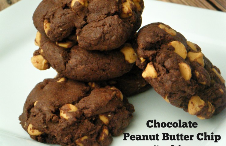 Chocolate Peanut Butter Cookies