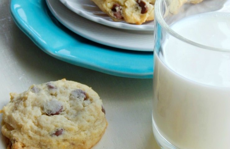 Chocolate Chip Cheesecake Cookies