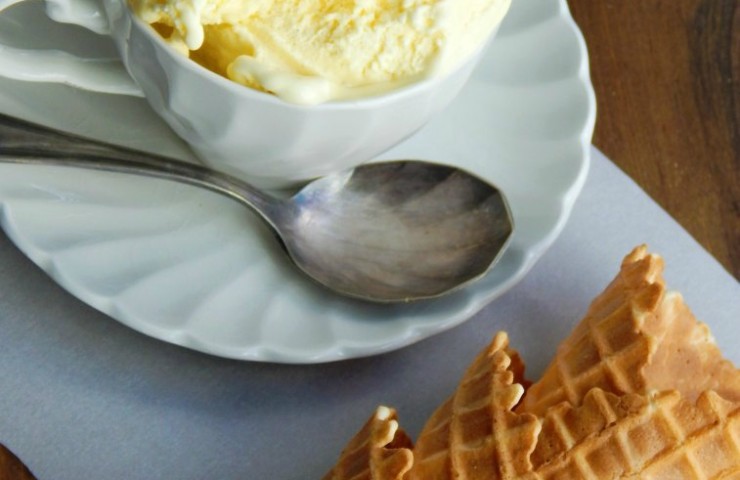 Homemade  French Vanilla Ice Cream