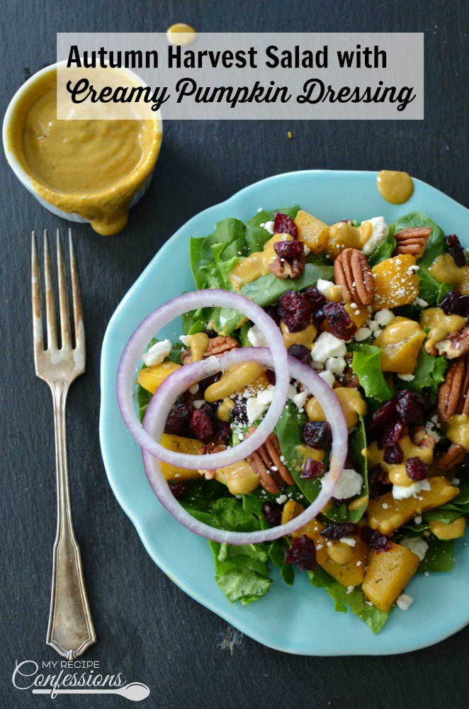 Autumn Harvest Salad with Creamy Pumpkin Dressing is full of all the autumn flavors we love and crave! This salad is packed with butternut squash, dried cranberries, pecans and so much more. The creamy pumpkin dressing recipe is pure magic and really makes this salad pop!